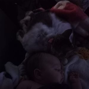 Meet your Posher, Nickolas j.